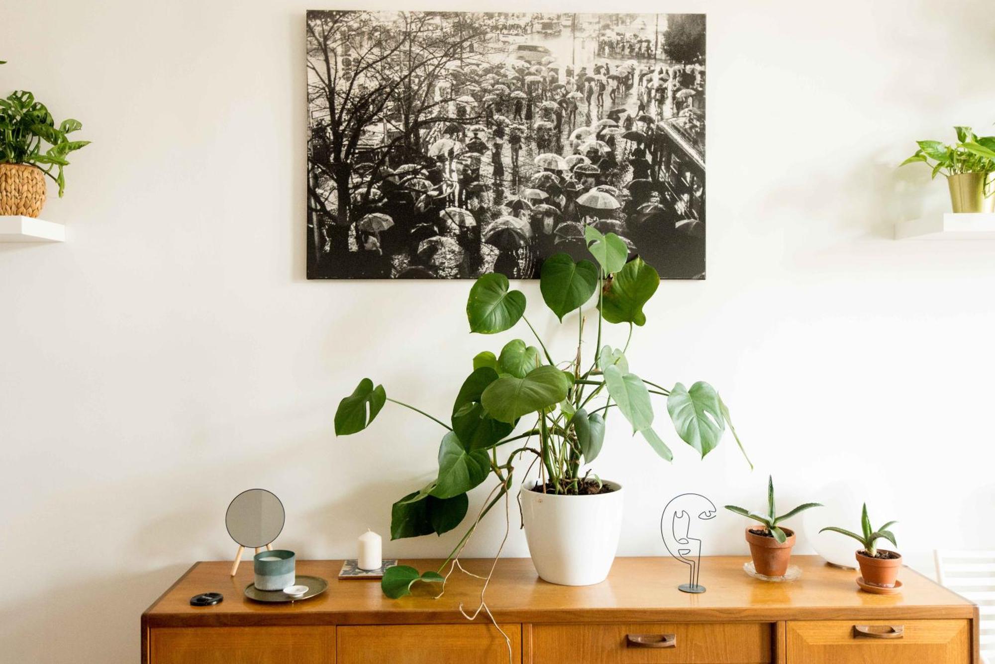 Dohany Design Apartments Budapest Habitación foto